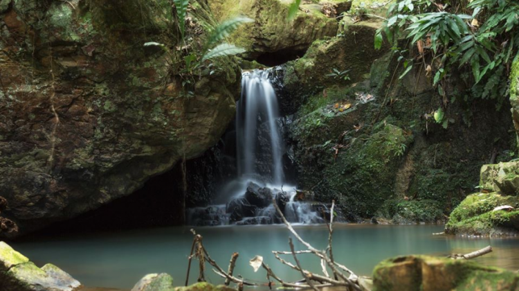 Una cascada, una de las fuentes de agua en la región del Madidi, la imagen es parte de los videos. Foto: Gabriela Villanueva