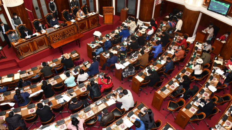 El pleno de la Asamblea Legislativa Plurinacional (ALP). Foto: Cámara de Diputados.
