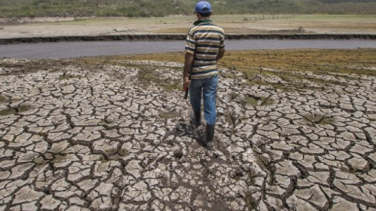 La sequía en Bolivia afecta a miles de agricultores. Foto. Archivo