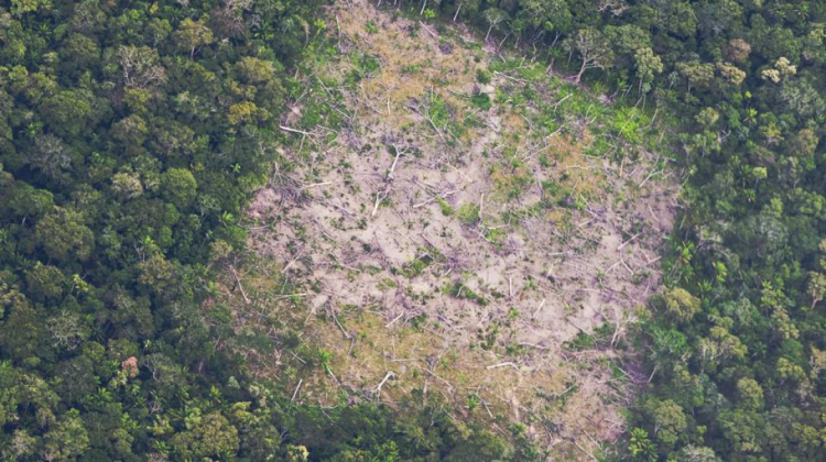 Deforestación en Brasil. Foto. Archivo