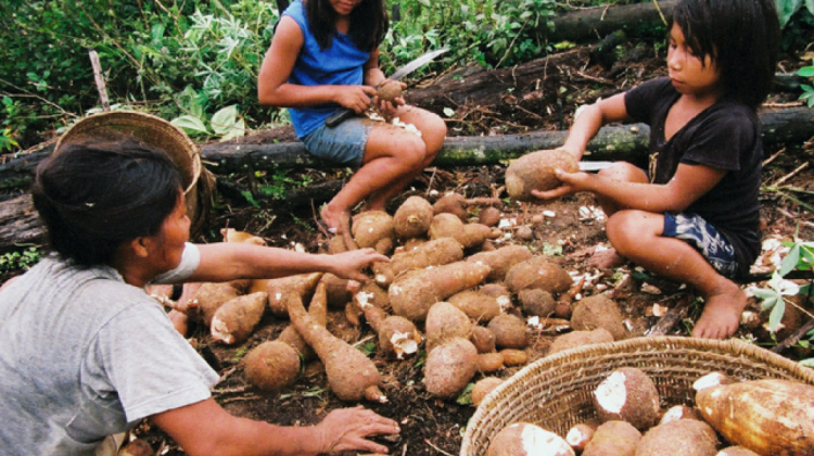 Pueblos indígenas en Brasil. Foto. RRSS