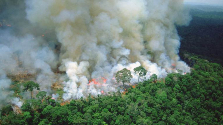 Incendios en el Amazonas durante el 2019. Foto. RRSS