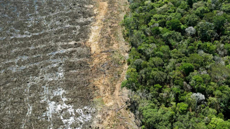 La alerta crece por la sequía en la región amazónica. Foto. Rtve