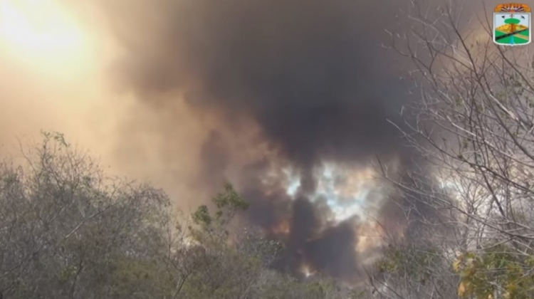 Nuevamente Bolivia Está En Alerta Por El Incremento De Incendios