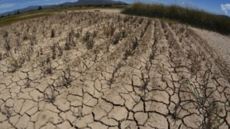 Sequía en Bolivia en 2019. Foto. Archivo