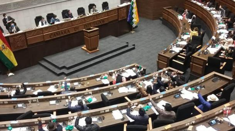 La Cámara de Diputados aprobó la madrugada del viernes el proyecto de ley. Foto: Diputados.