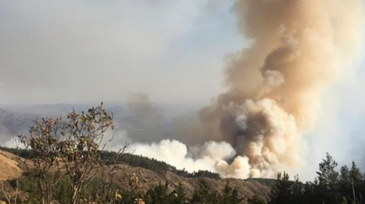 Incendio en el Parque Tunari. Foto. RRSS