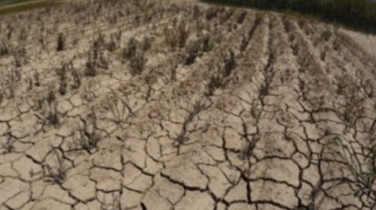 Sequía en Bolivia foto. Archivo