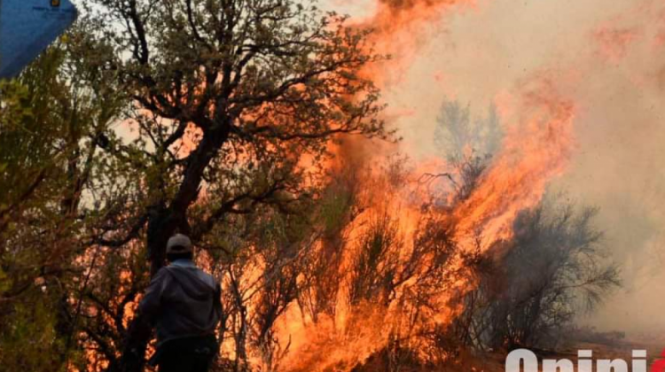 El fuego ingresó a la zona boscosa del Parque Nacional Tunari. Foto: Opinión