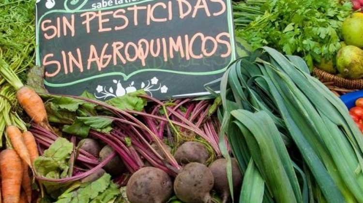 Alimentos orgánicos. Foto. RRSS