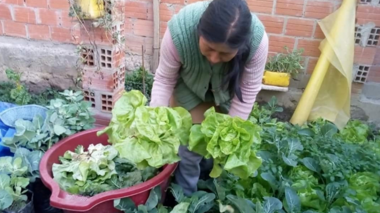Mujer agricultora en La Paz. Foto. Ecotambo
