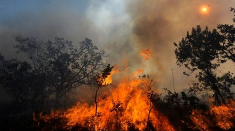 Incendios forestales en la Amazonía en 2020. Foto. RRSS