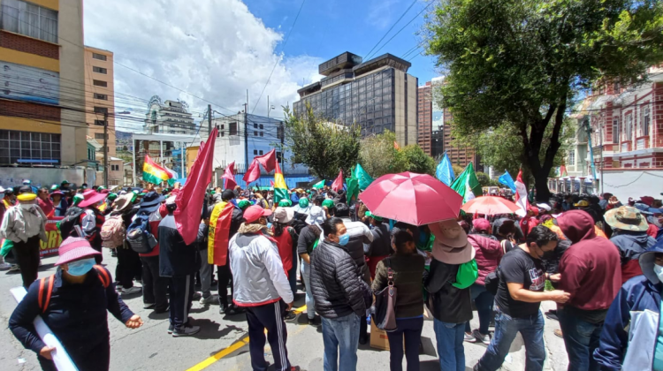 Concentración de maestros en la ciudad de La Paz, este miércoles. Foto: ANF.