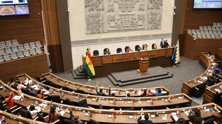Hemiciclo de la Asamblea Legislativa Plurinacional. Foto: Cámara de Diputados.