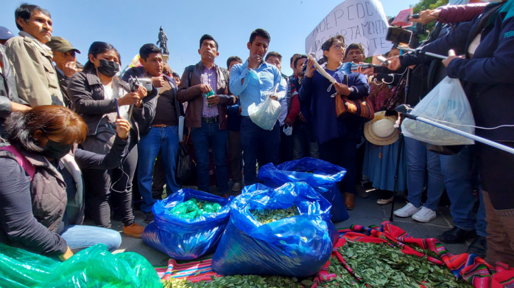 Cocaleros de Los Yungas de La Paz afines al MAS en la Plaza Murilo. Foto: ANF.
