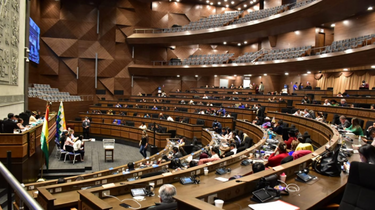 Pleno de la Asamblea Legislativa Plurinacional. Foto: Cámara de Diputados.