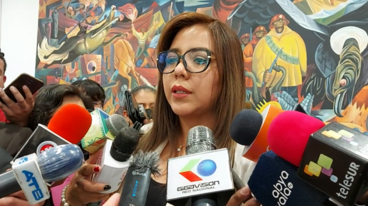 Gabriela Alcón, viceministra de Comunicación. Foto: ANF.
