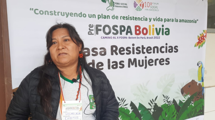 Willma Mendoza, presidenta de la Confederación Nacional de Mujeres Indígenas de Bolivia (CNAMIB). Foto. ANF
