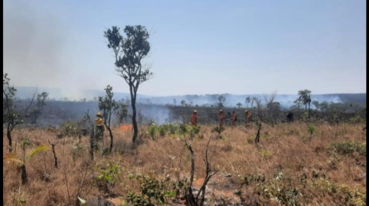 Bomberos voluntarios trabajan para sofocar incendios. Foto: Viceministerio de Defensa Civil.