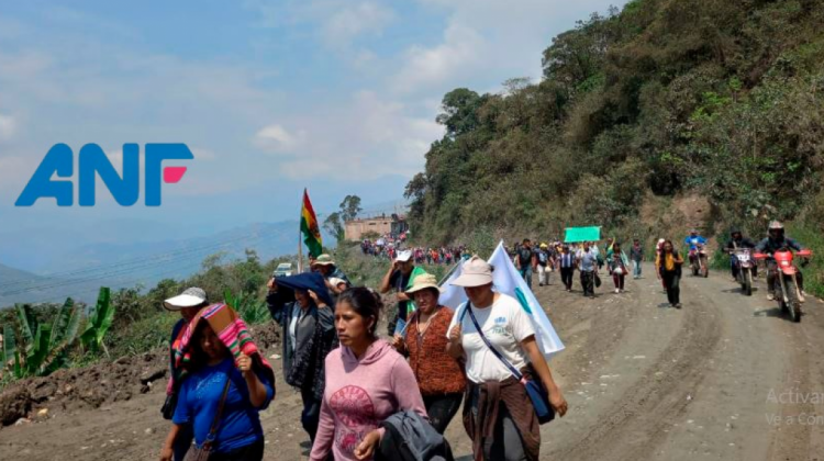 Marcha de cocaleros se dirige a La Paz. Foto: ANF