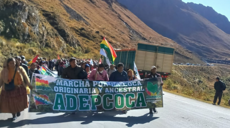 Anterior marcha de cocaleros rumbo a La Paz. Foto: ANF