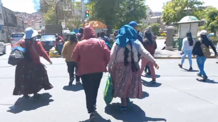 Mujeres cocaleras de Adepcoca se retiran por miedo a ser aprehendidas: Foto: Captura de video.