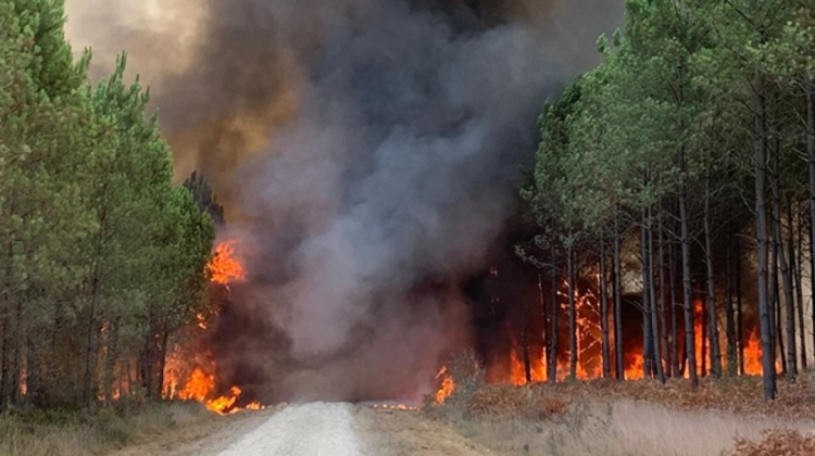 Incendios que afectan a Portugal.