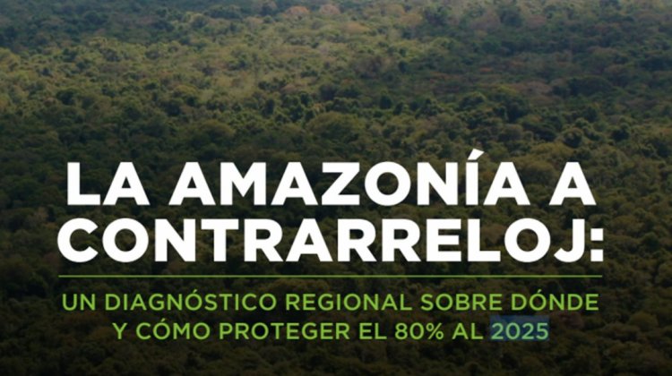 Imagen. Informe Amazonia a contrarreloj: un diagnóstico sobre dónde y cómo proteger el 80% para 2025