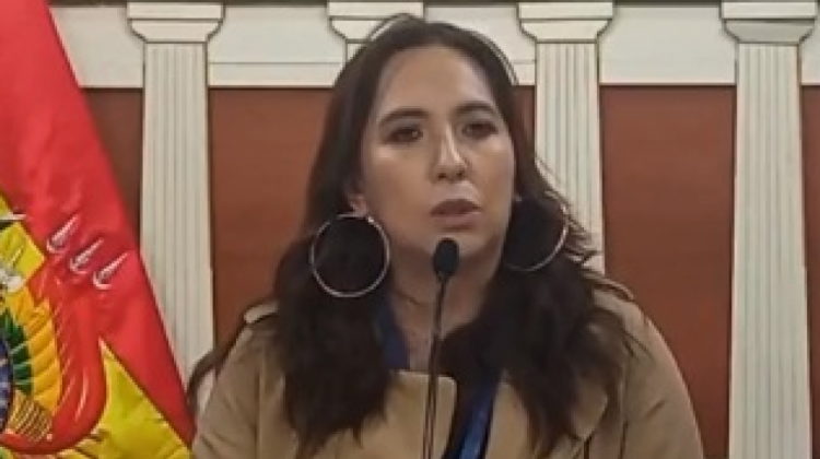 Viceministra Susana Ríos. Foto: captura video