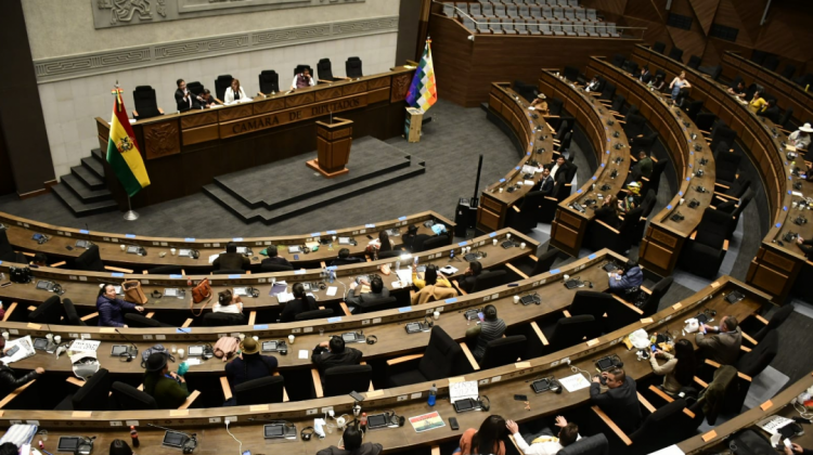 Foto: Cámara de Diputados.