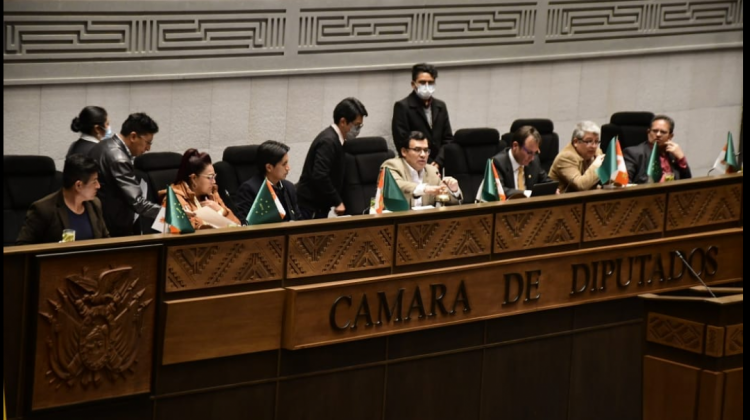 El pleno de la Cámara de Diputados sesionará el lunes por la tarde. Foto: Cámara de Diputados.