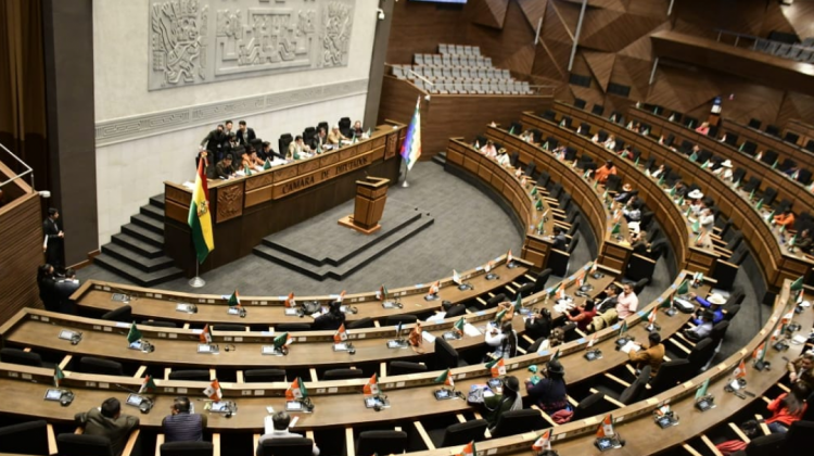 Pleno de la Cámara de Diputados. Foto: Prensa Diputados.