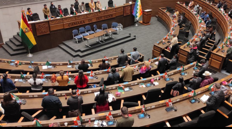 La Cámara de Diputados aprobó la norma después de más de 10 horas de debate. Foto: Diputados
