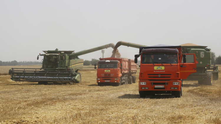 os gobiernos de Rusia y Ucrania han alcanzado un acuerdo para prorrogar el acuerdo para la exportación de granos.