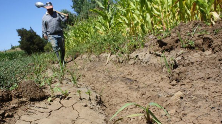 Las sequías que se registran en varias regiones del país. Foto: El Diario.