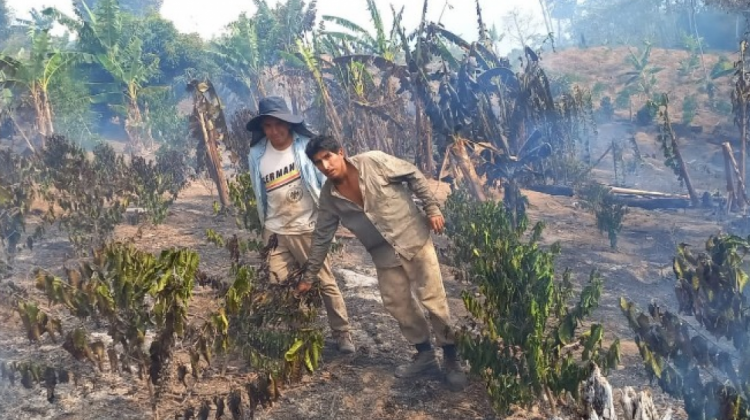 Los pobladores se dieron modos para sofocar los incendios en los Yungas. Foto: RRSS