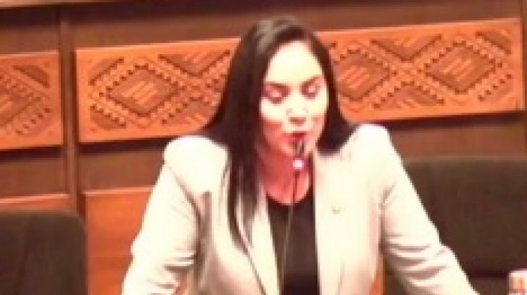 La diputada Nogales en su intervención en Diputados. Foto: Captura video