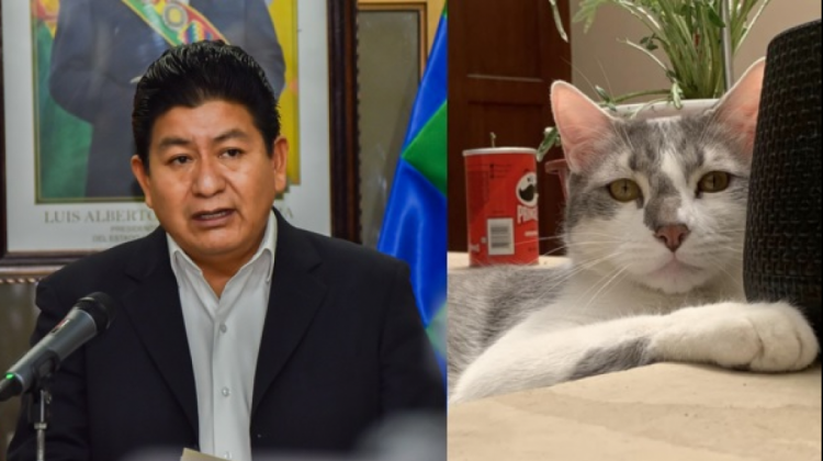 Composición: Ministro de Obras, Edgar Montaño, y el gatito 'Tito'.