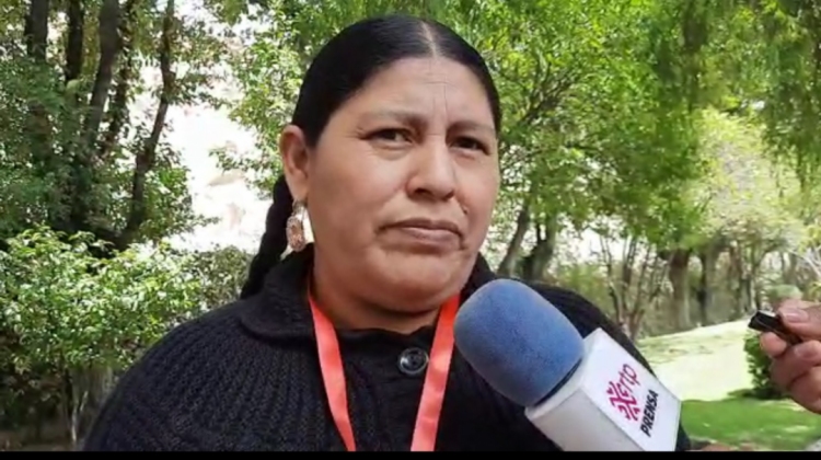La directora ejecutiva de la Autoridad Plurinacional de la Madre Tierra de Bolivia, Angélica Ponce. Foto: ANF