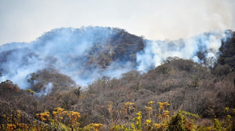 Serranía del Aguaragüe en llamas. Foto: El País de Tarija