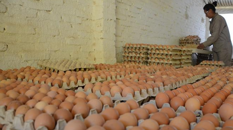 El precio de los huevos se incremento en los mercados. Foto: Los Tiempos.