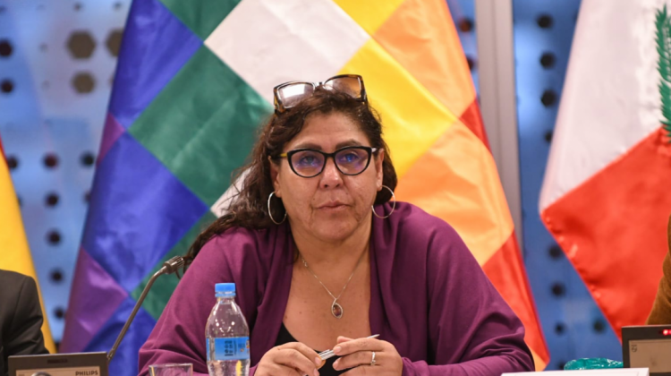 Senadora Patricia Arce. Foto: ALP