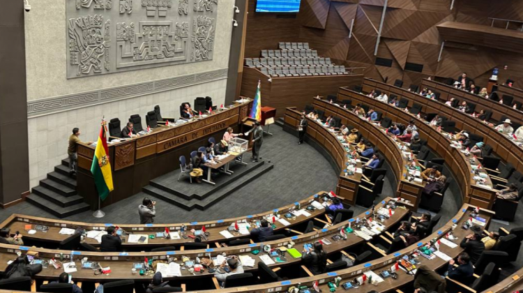 Asamblea Legislativa Plurinacional. Foto: Cámara de Diputados.