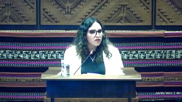 Interpelación a la ministra de Salud, María Renne Castro. Foto: Captura video