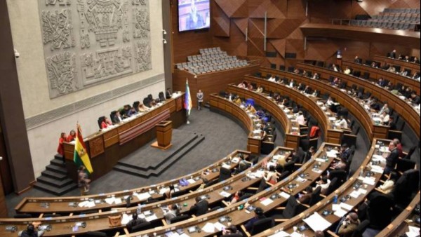 Sesión del pleno de la Asamblea donde se aprobó por mayoría el reglamento y la convocatoria. Foto: Internet