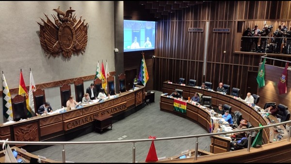 Cámara de Senadores. Foto: ANF