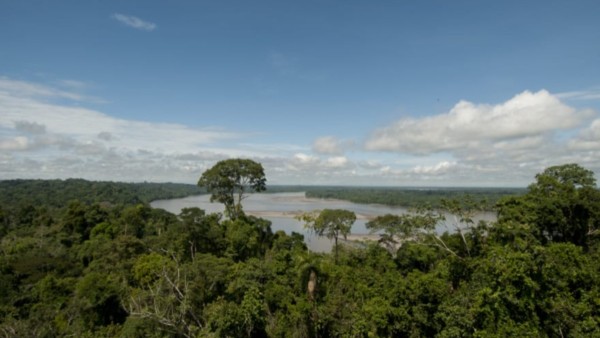 El Parque Nacional del Yasuní.