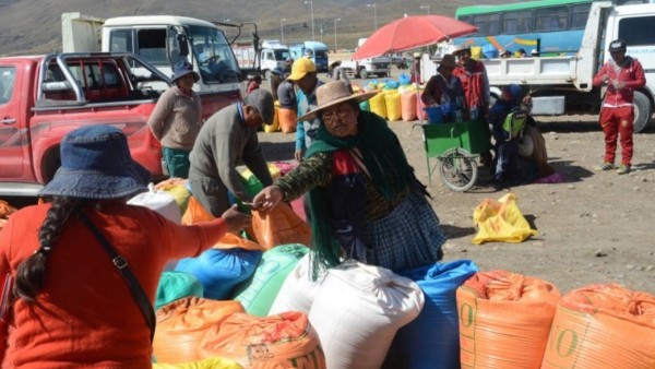 Venta de quinua en Challapata. Foto: Correo del Sur