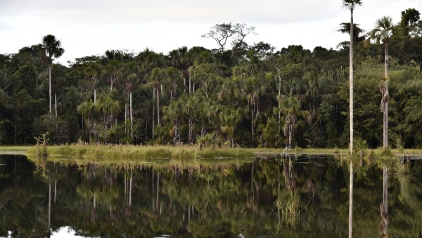 Amazonía sudamericana.