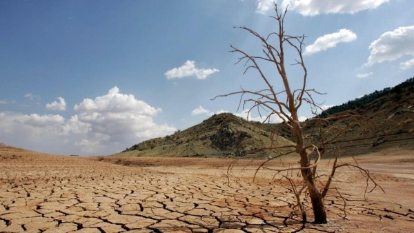 Las fuertes sequías afectan a distintas regiones del mundo.